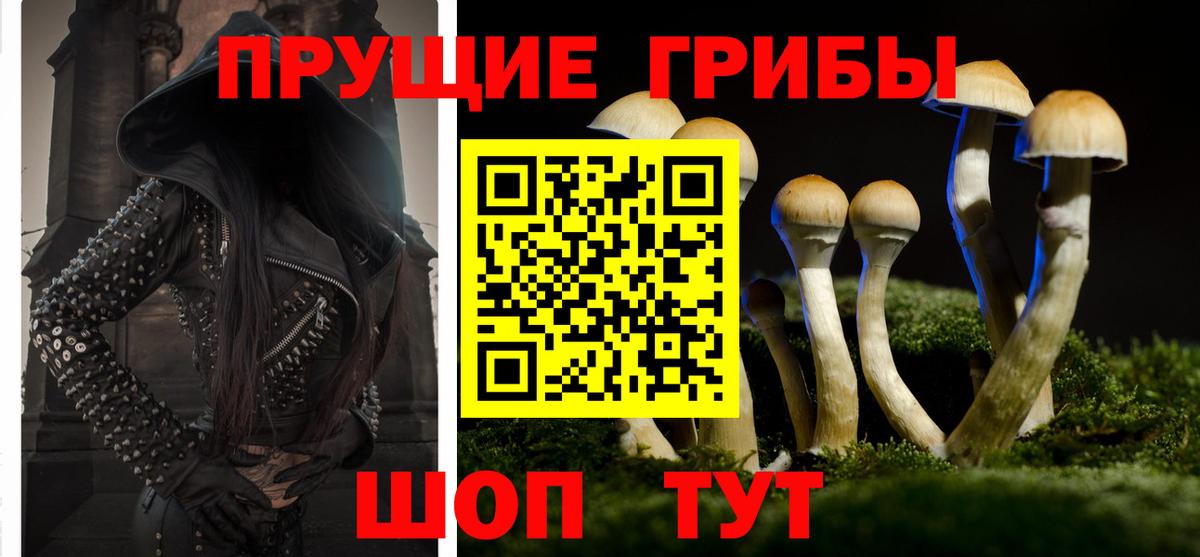 Псилоцибиновые грибы прущие грибы  Галлюциногенные грибы Psilocybine cubensis  Вход с VPN  как найти закладки  Краснодар 